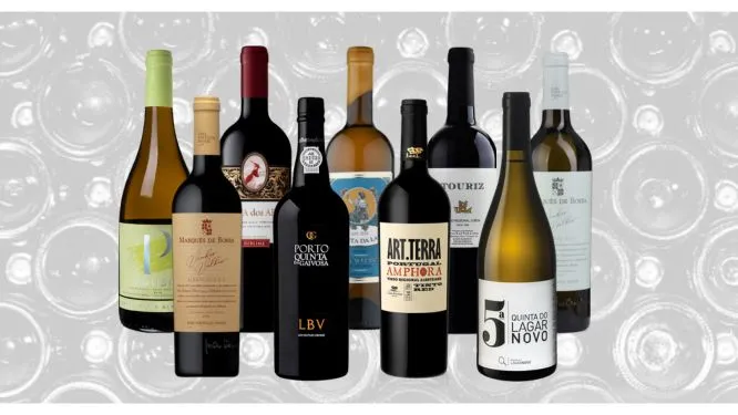 Coffret Découverte des Vins du Portugal – Sélection Premium