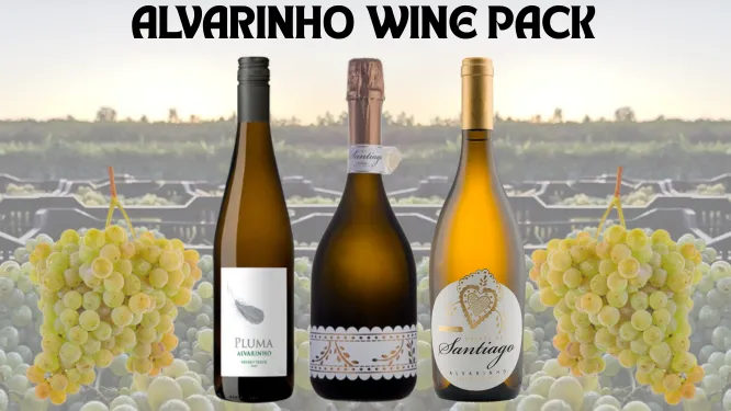 Coffret Alvarinho Premium – 3 Vins