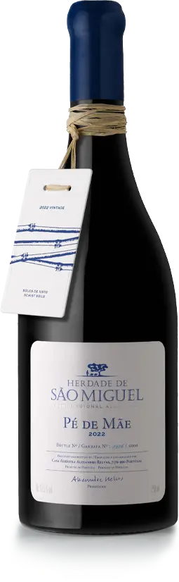 [ALT-REL-SMIGUELPEDEMAE-T-2022] Casa Relvas Pé de Mãe 2022