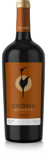 [ALT-REL-CICONIARSV-T-2019] Casa Relvas Ciconia Reserva Tinto 2019
